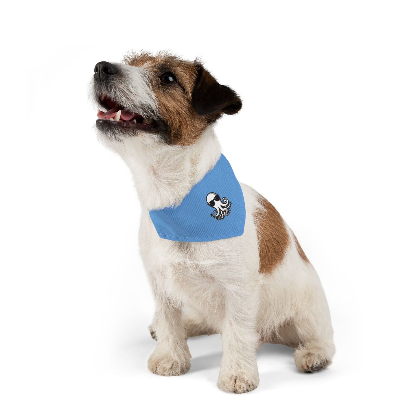 Pet Bandana Collar - Ochto blue