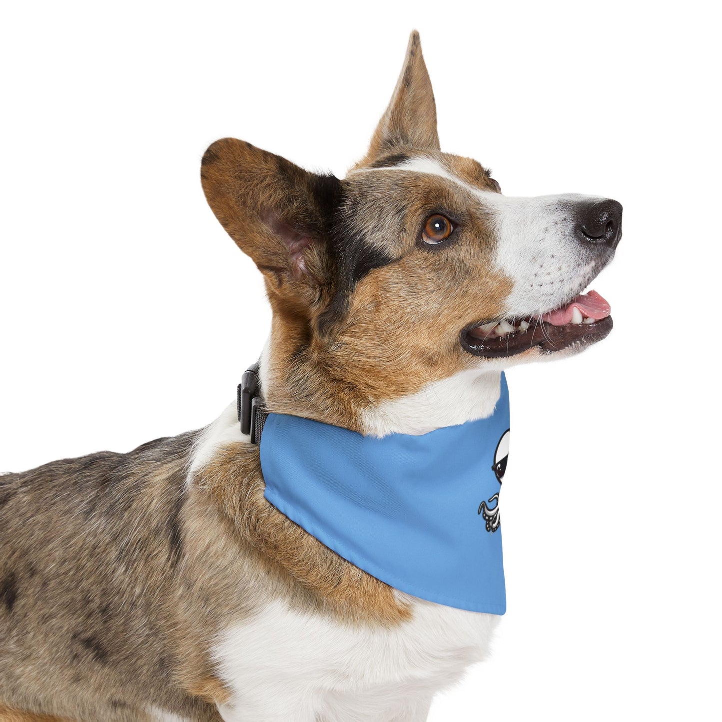 Pet Bandana Collar - Ochto blue