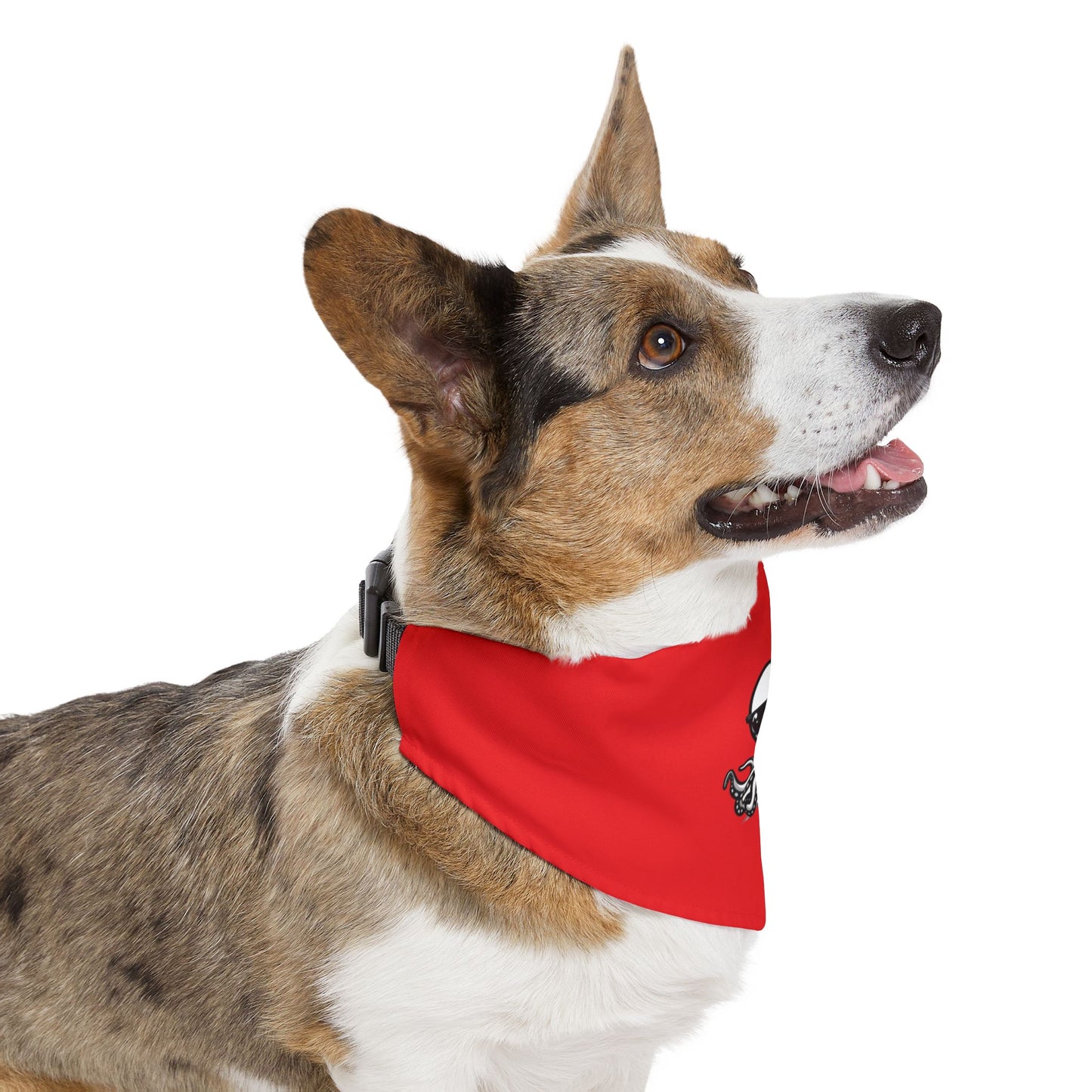 Pet Bandana Collar - Ochto red