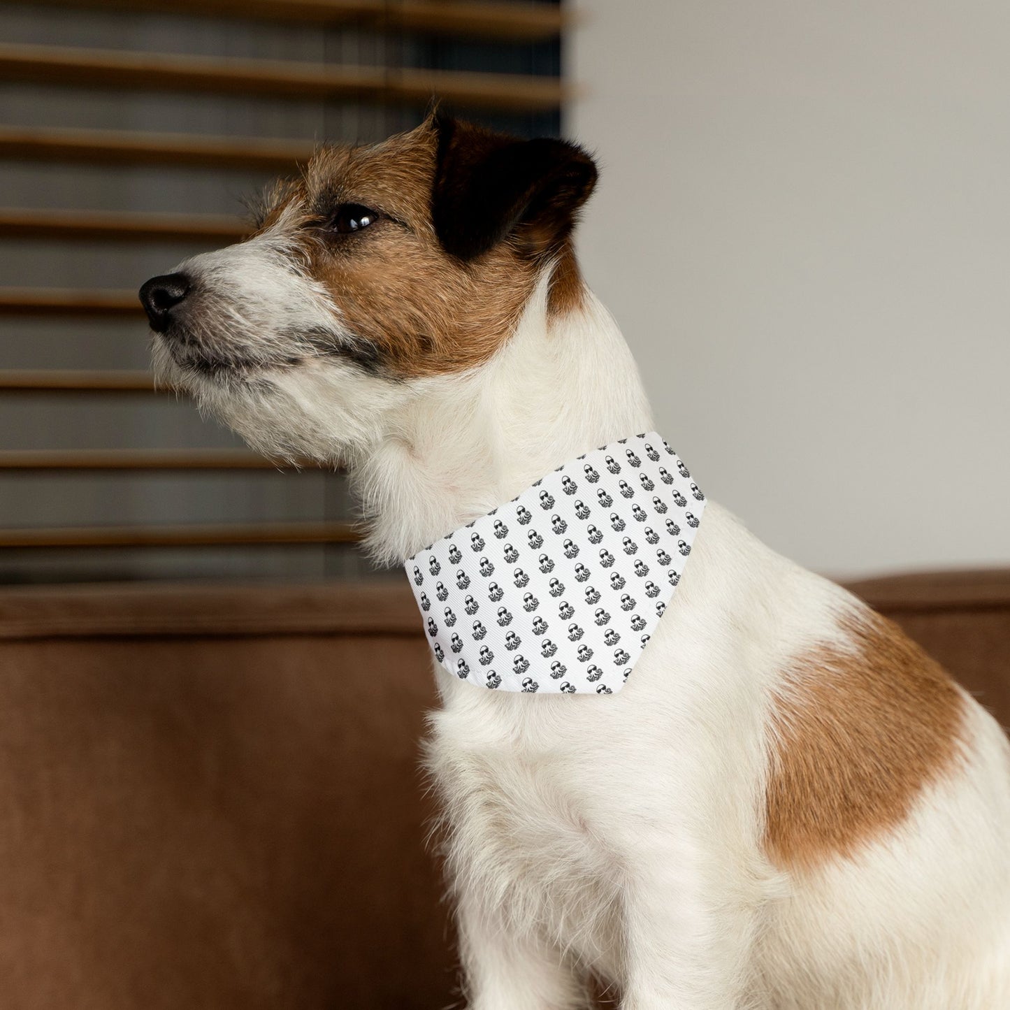 Pet Bandana Collar - Ochto fine
