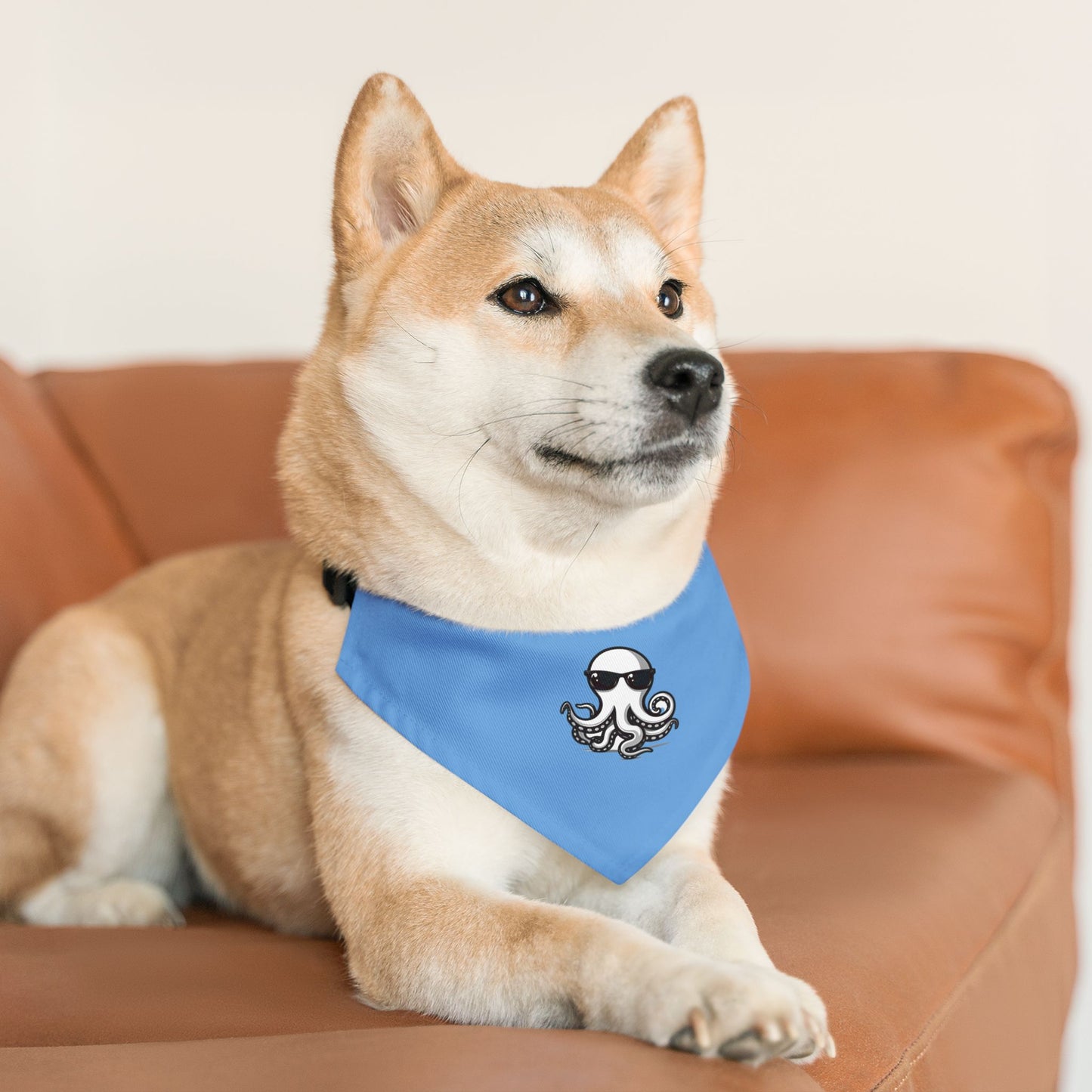 Pet Bandana Collar - Ochto blue