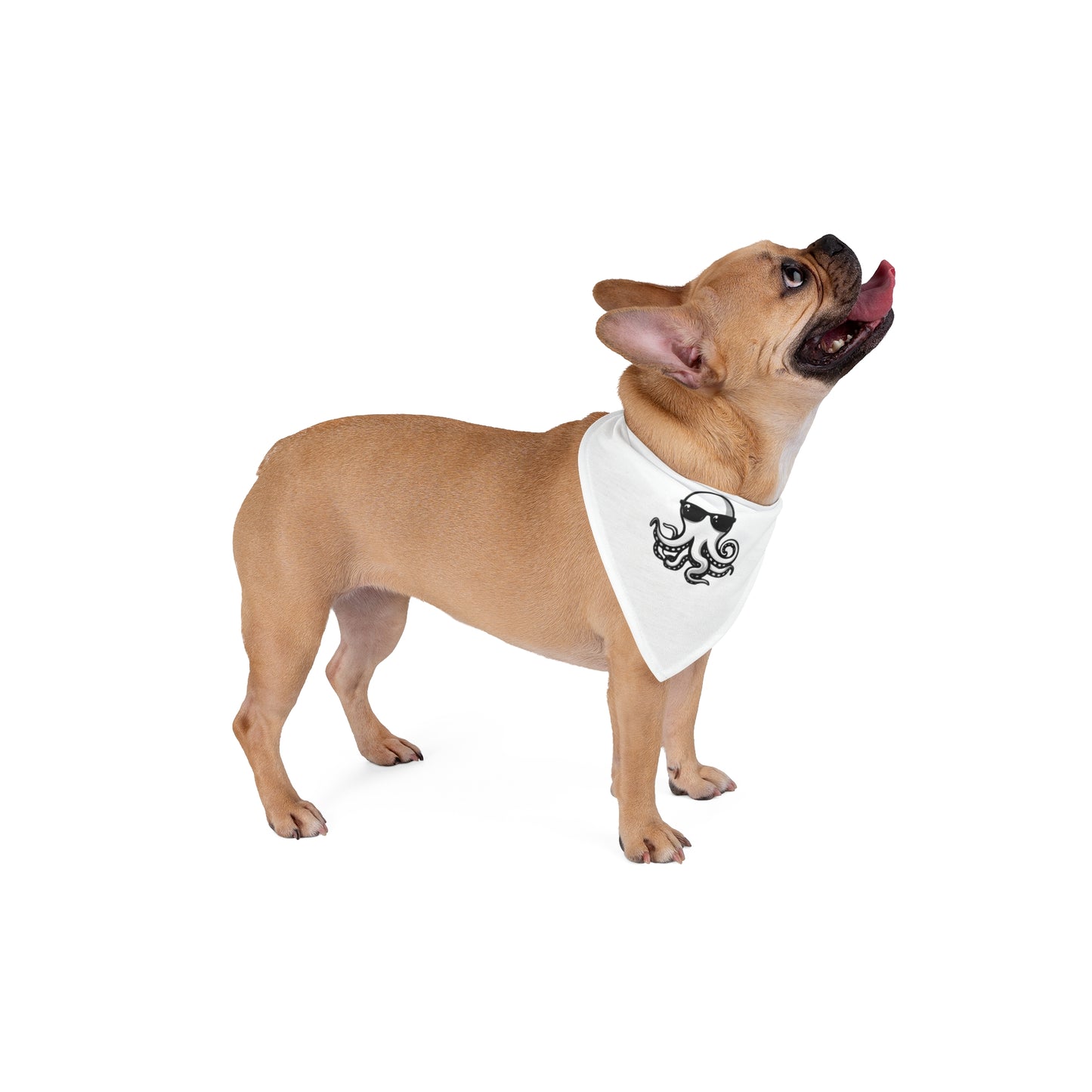 Pet Bandana - Type II