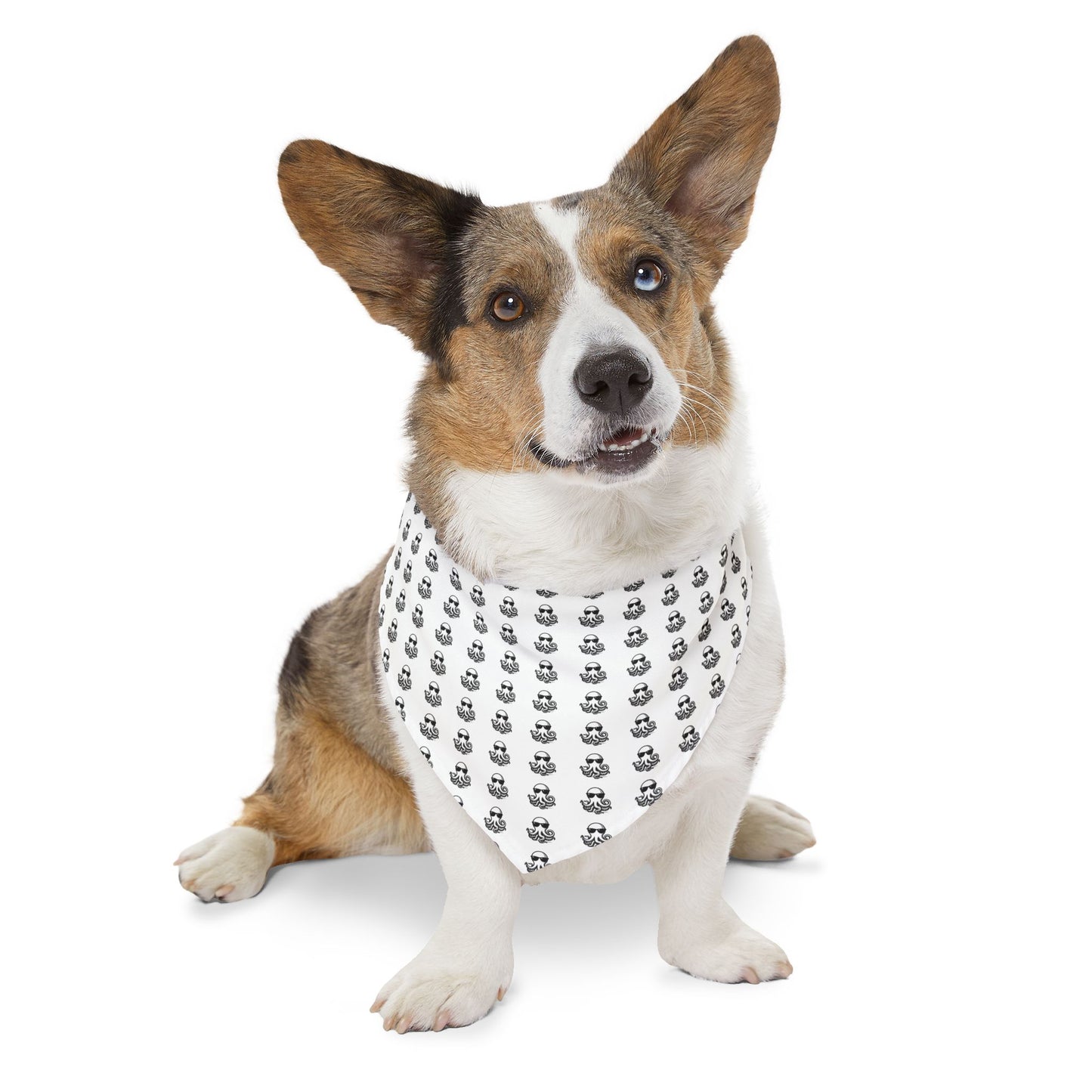 Pet Bandana Collar - Ochto fine