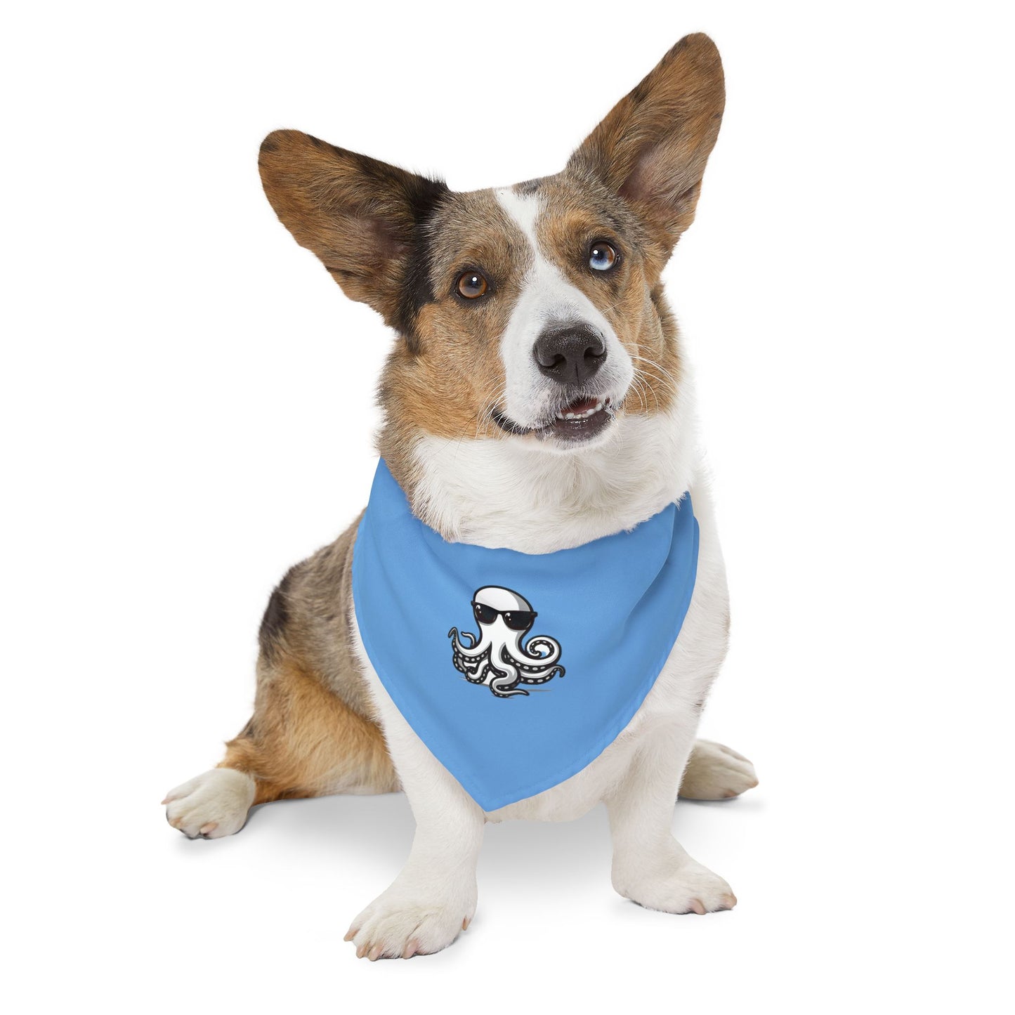 Pet Bandana Collar - Ochto blue