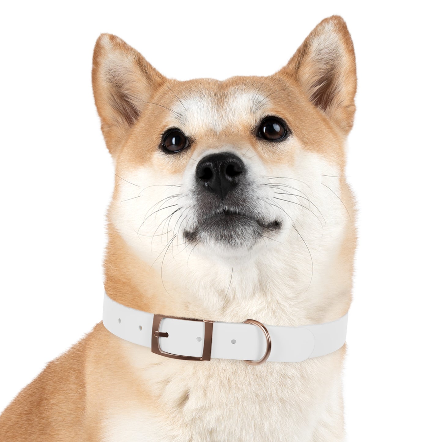 Pet Collar - Ochtowear for Dogs and Cats