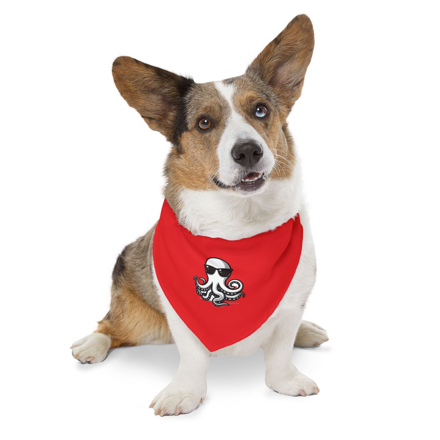 Pet Bandana Collar - Ochto red
