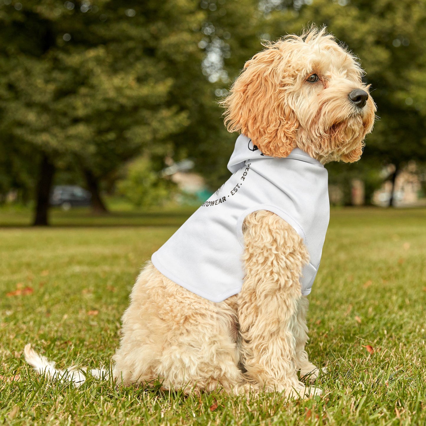 Pet Hoodie - Ochto