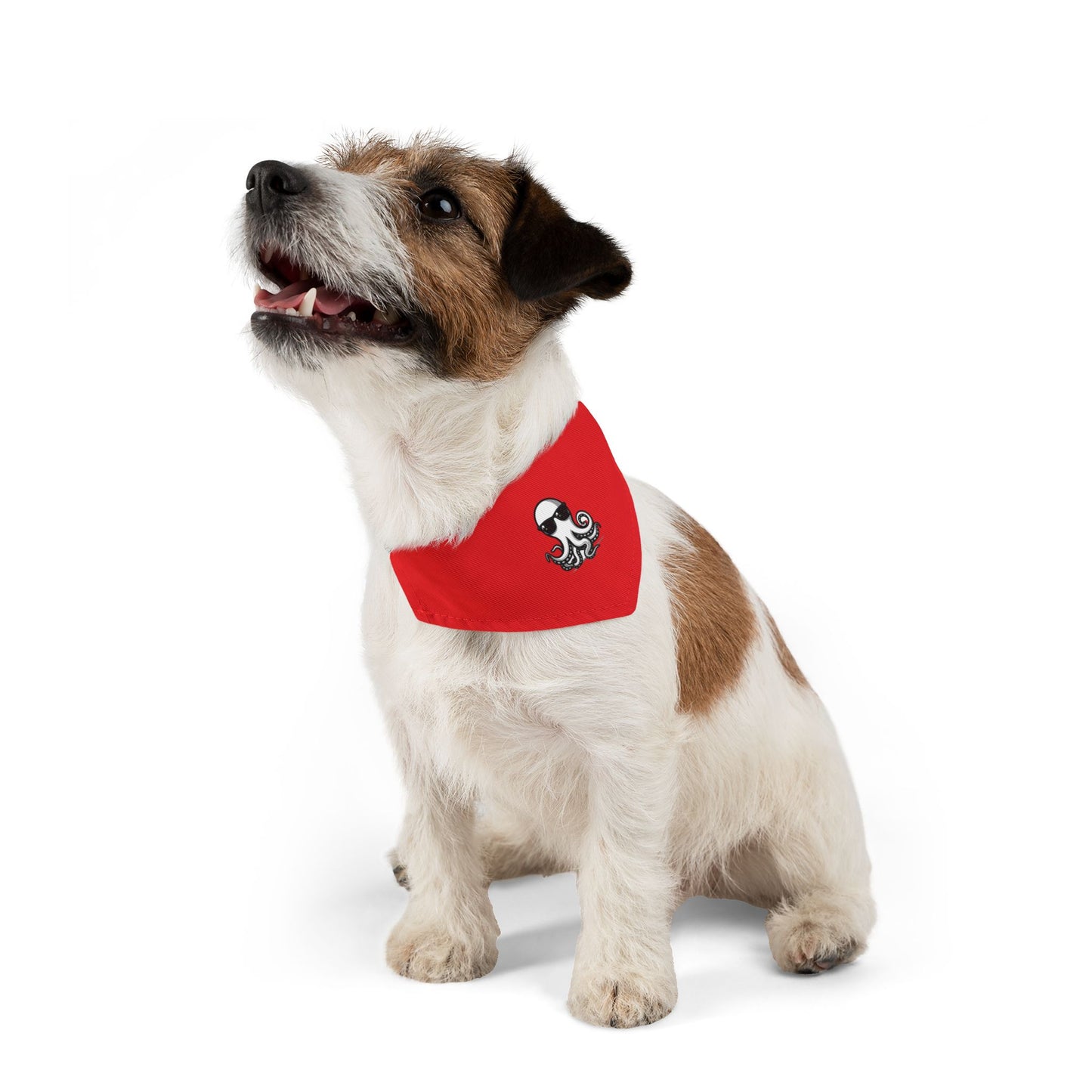 Pet Bandana Collar - Ochto red