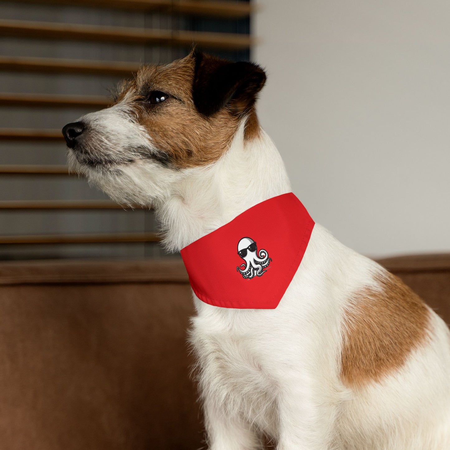 Pet Bandana Collar - Ochto red
