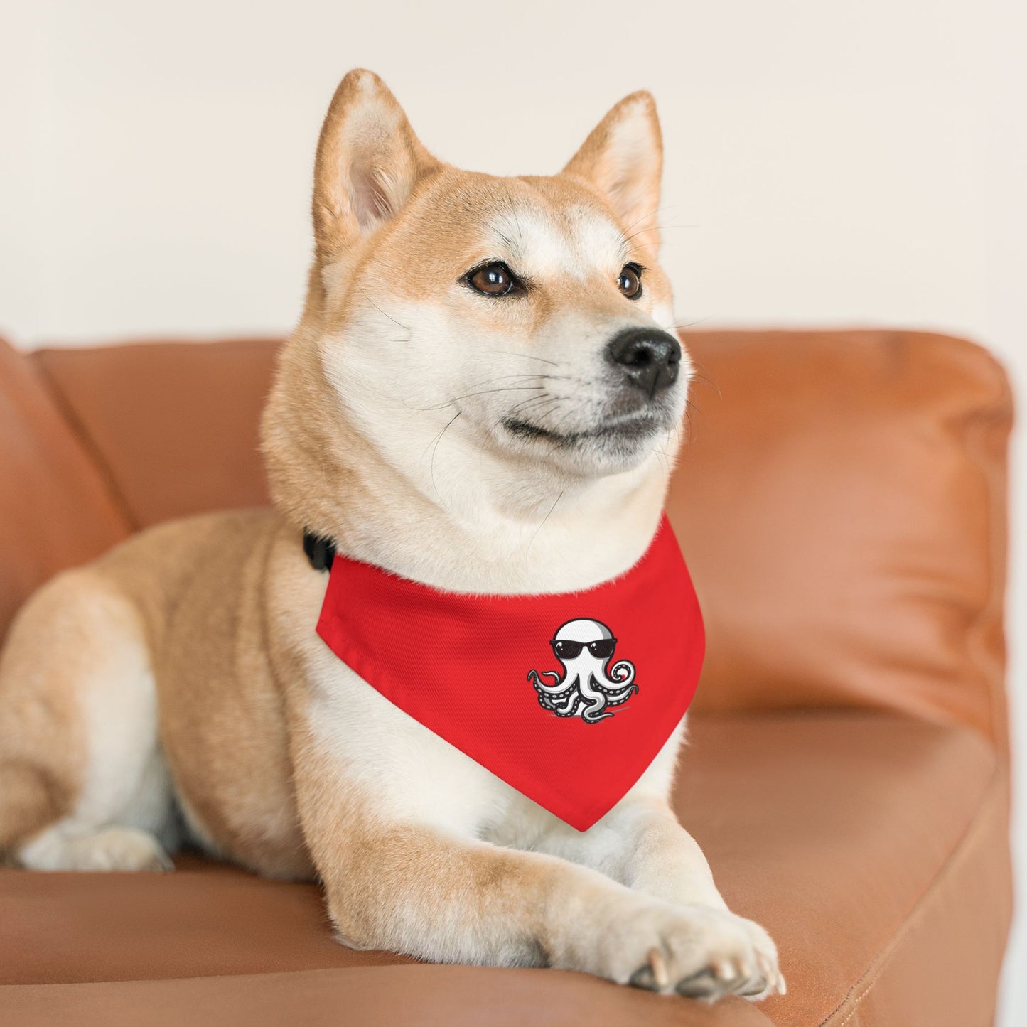 Pet Bandana Collar - Ochto red