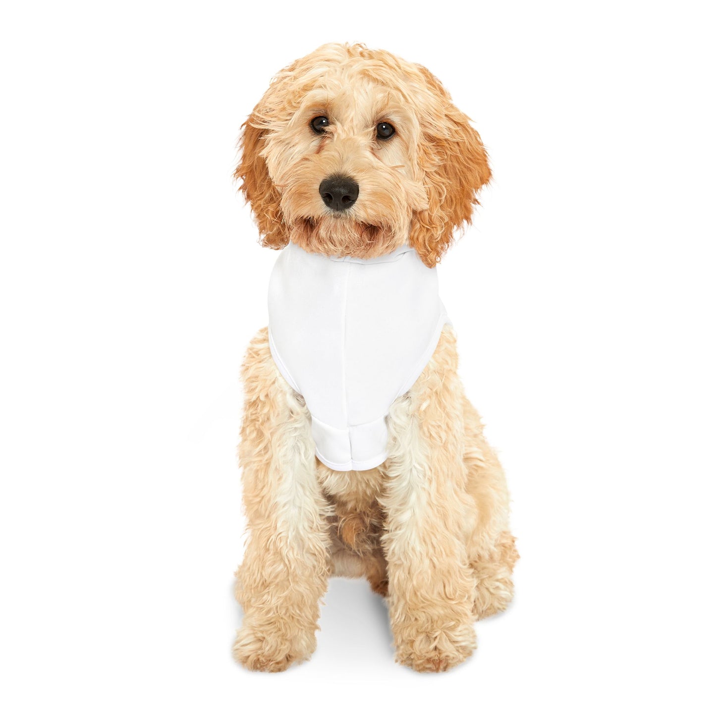 Pet Hoodie - Ochto