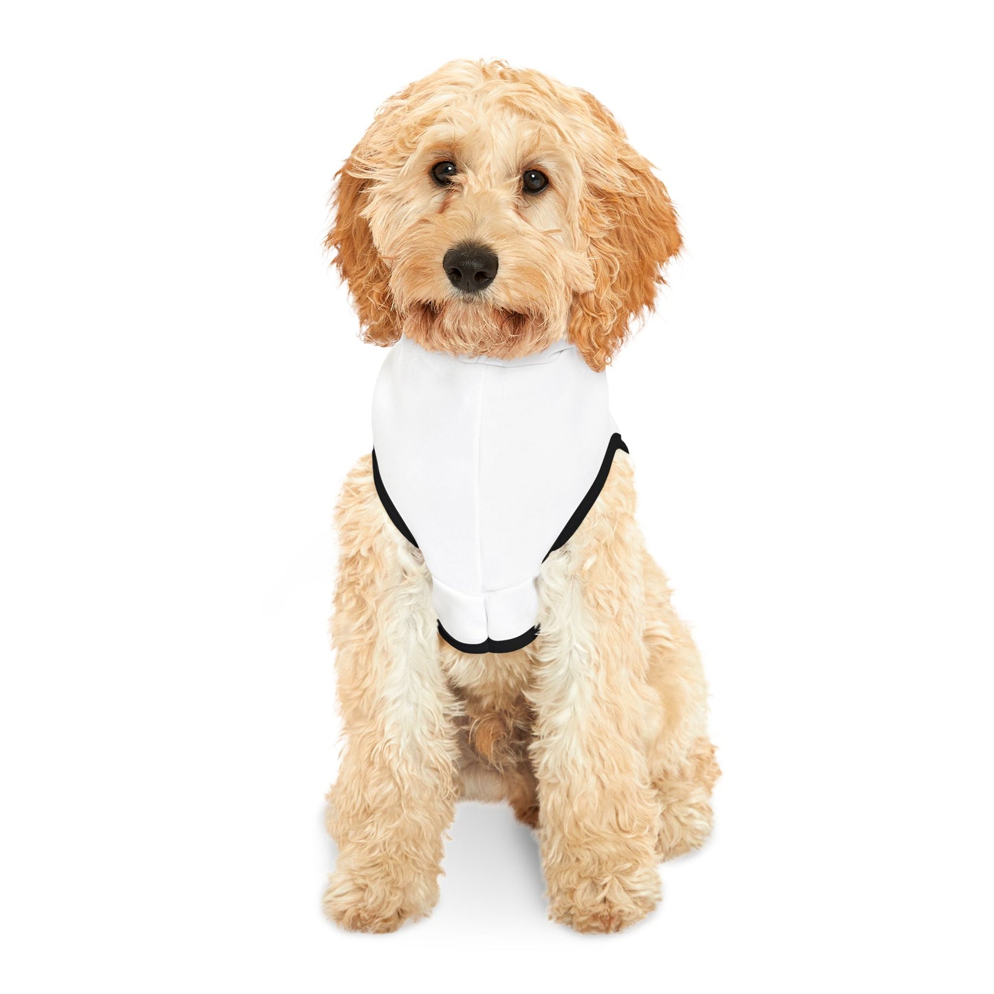 Pet Hoodie - Ochto