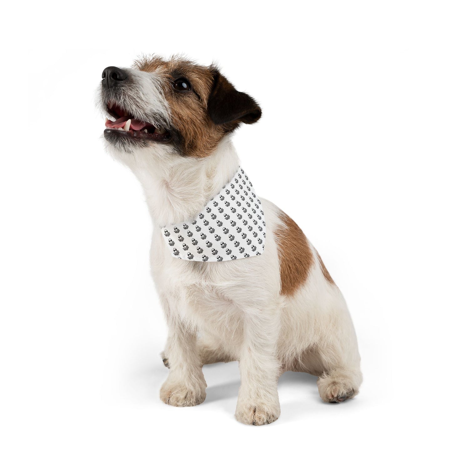 Pet Bandana Collar - Ochto fine
